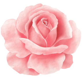 rose animé